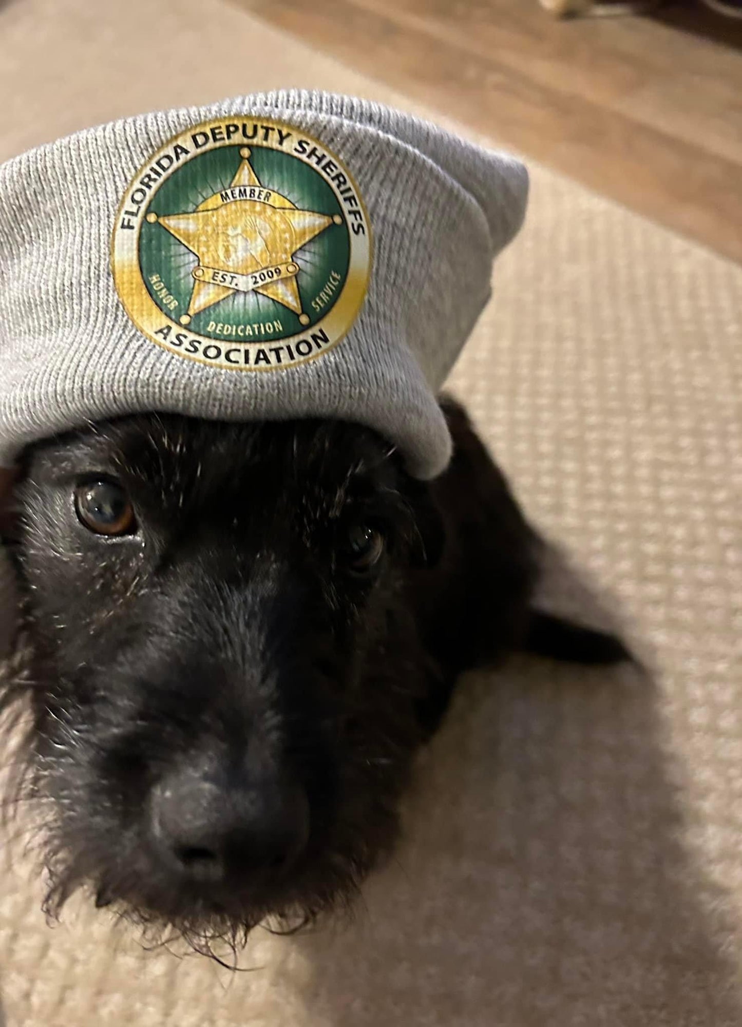 FDSA Beanie